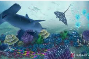 Bwin体育电脑免费版